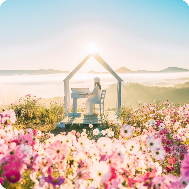 天空のコスモス畑