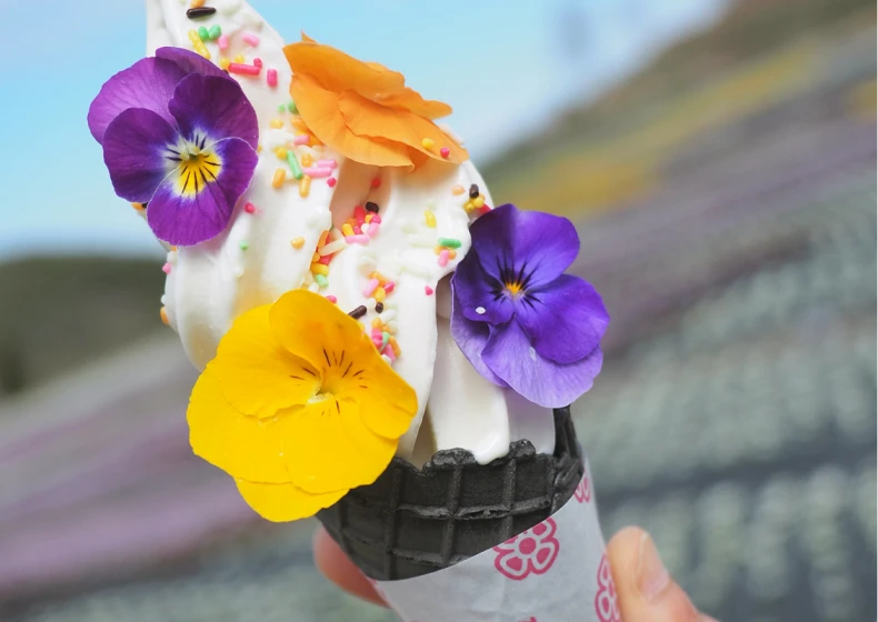 フラワーソフト