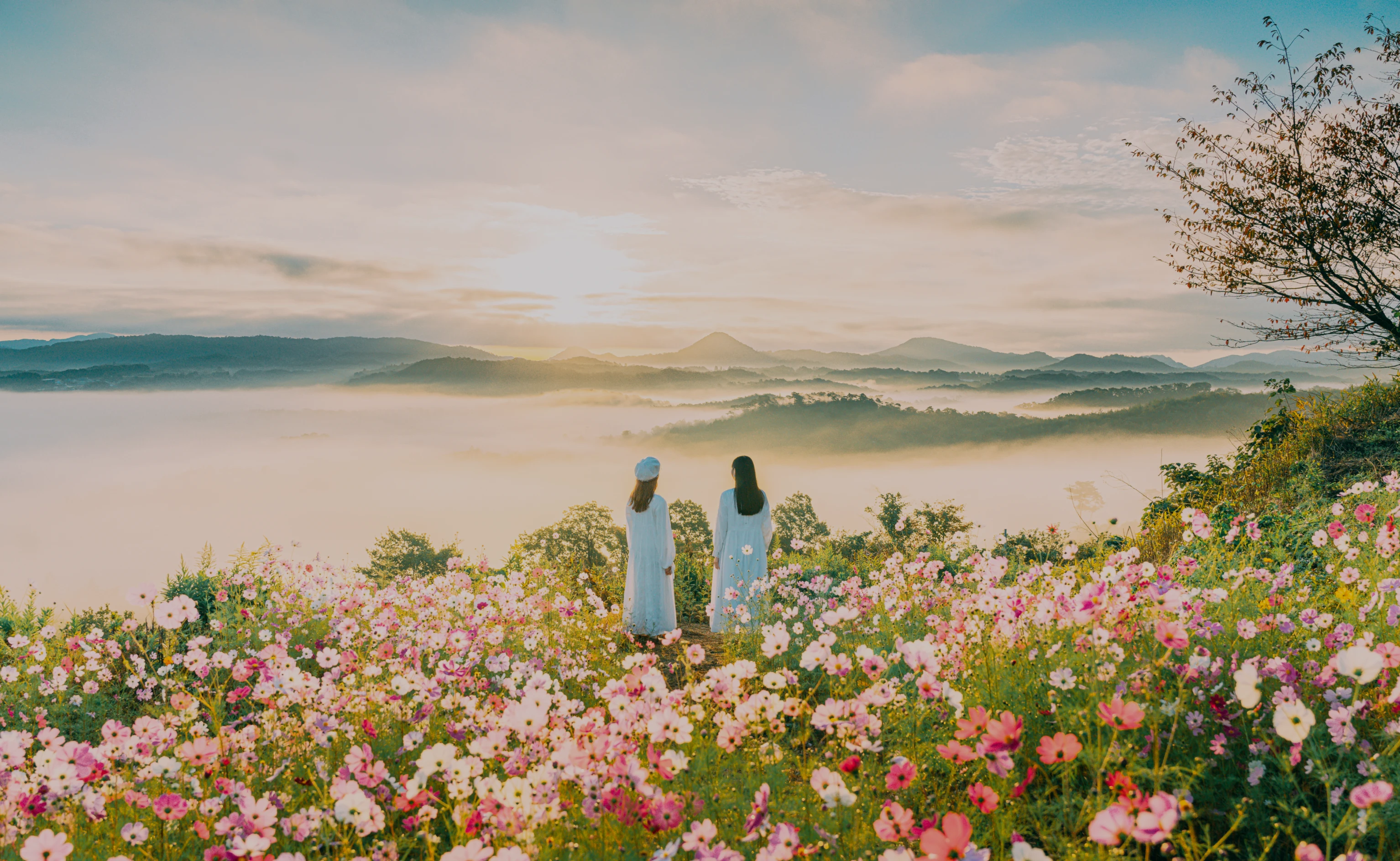 メインヴィジュアル