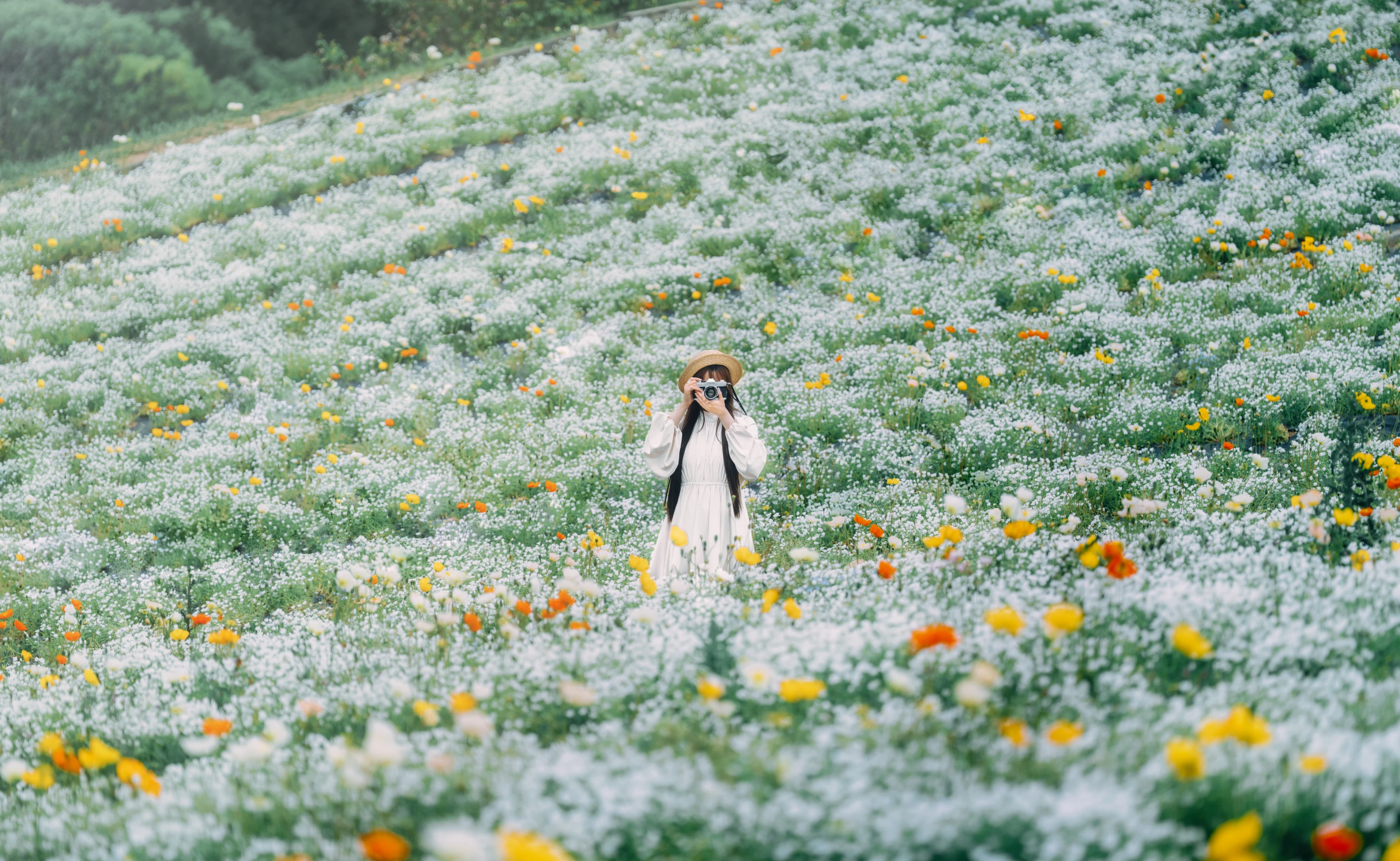 メインヴィジュアル